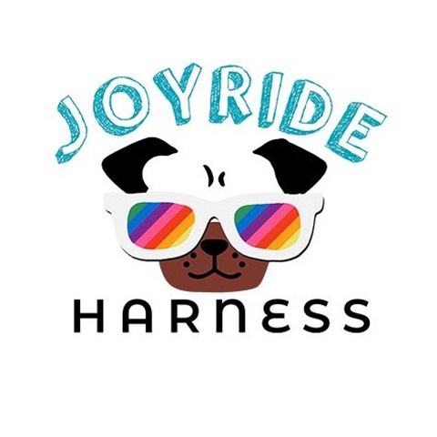Joyride Harness